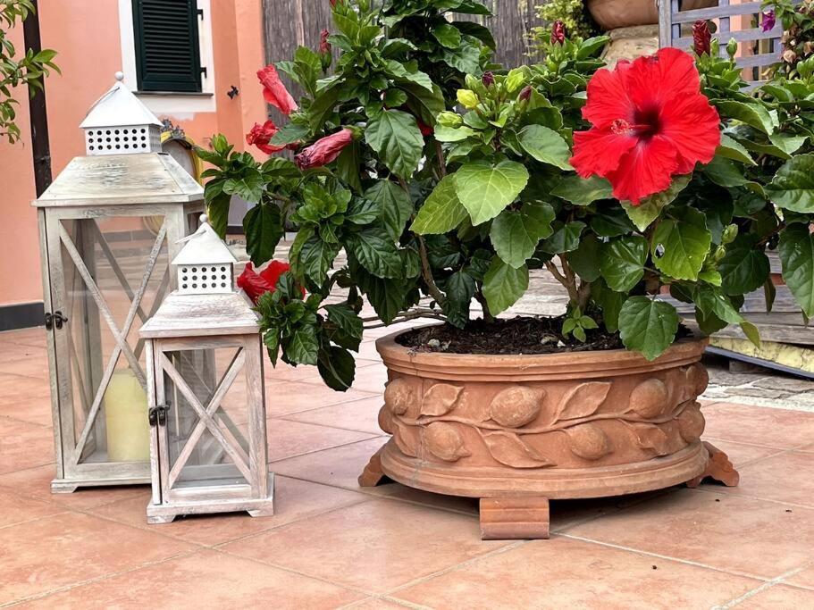 Annali Casa Vacanze - Shabby Style Nella Natura La Spezia Eksteriør bilde