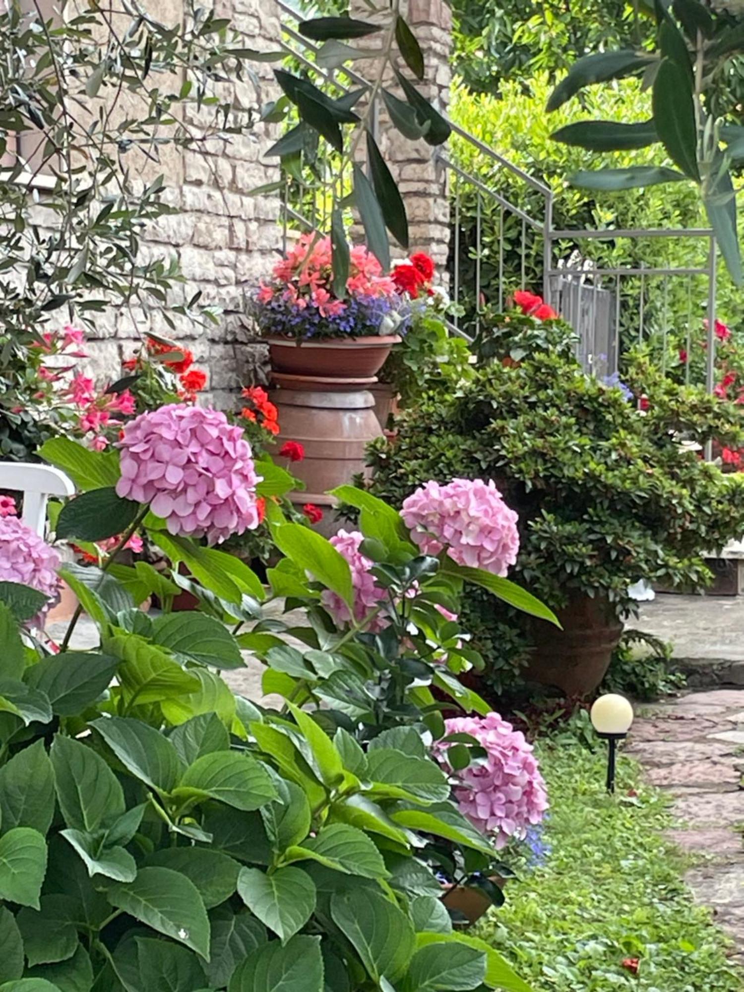 Annali Casa Vacanze - Shabby Style Nella Natura La Spezia Eksteriør bilde